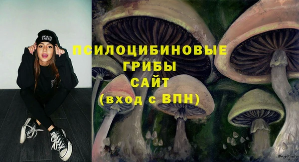 PSILOCYBIN Михайловск