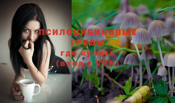 прущий лед Навашино
